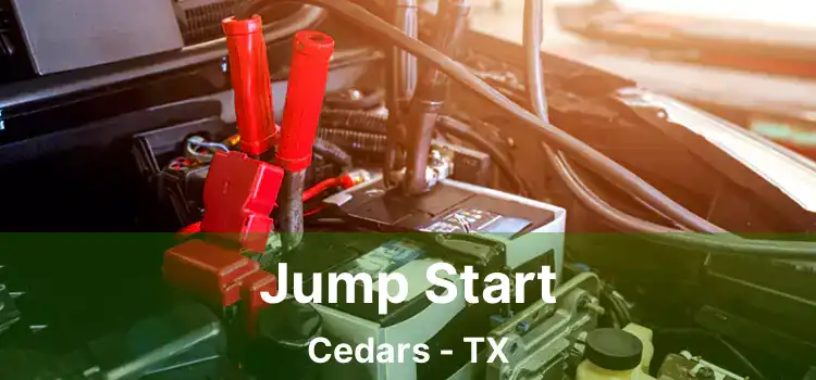 Jump Start Cedars - TX