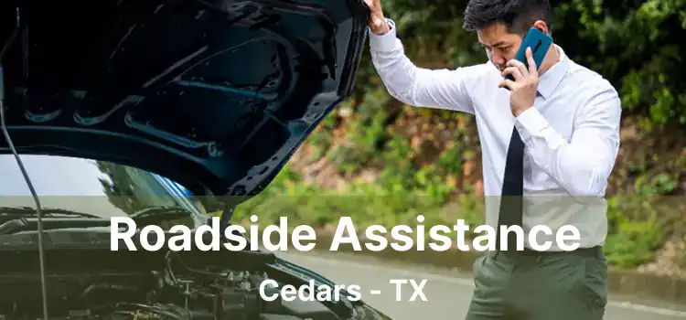 Roadside Assistance Cedars - TX