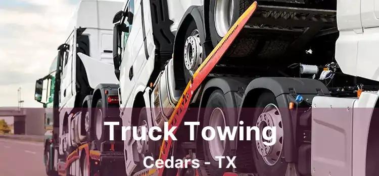 Truck Towing Cedars - TX