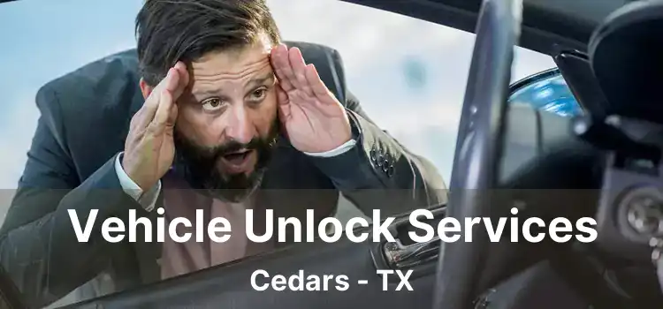 Vehicle Unlock Services Cedars - TX