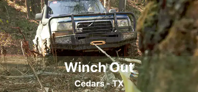 Winch Out Cedars - TX