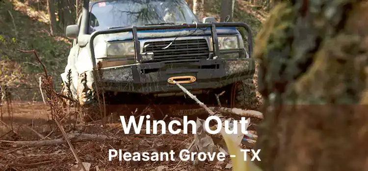 Winch Out Pleasant Grove - TX