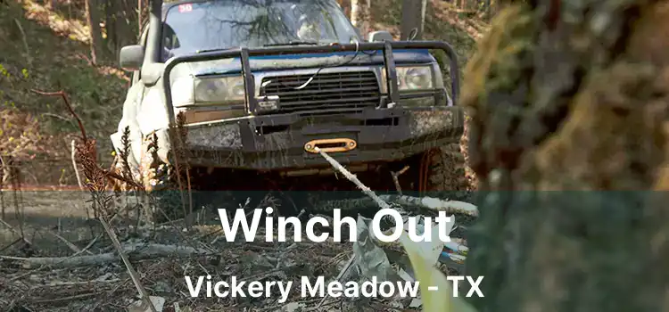 Winch Out Vickery Meadow - TX