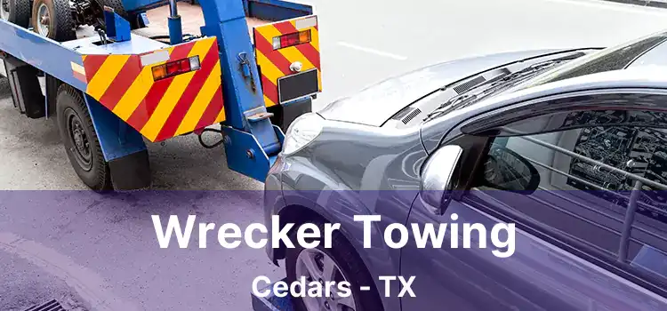 Wrecker Towing Cedars - TX